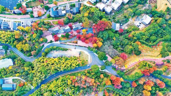 推进党建业务有机融合&nbsp;&nbsp;打好碧水保卫战