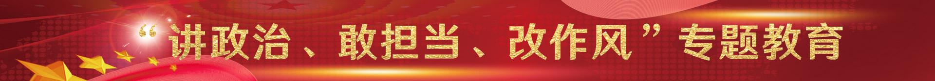 讲政治、敢担当、改作风专题教育