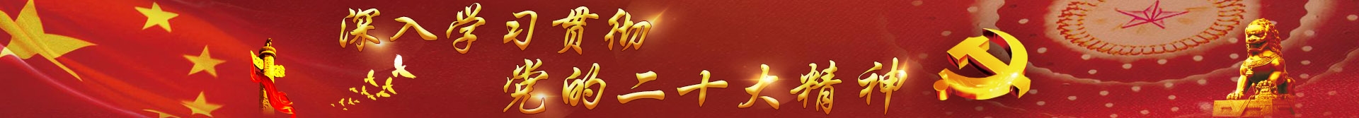 深入学习贯彻党的二十大精神